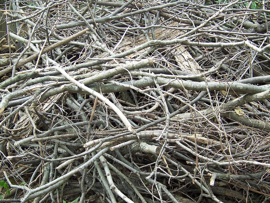 dead, tree, branches, limbs, pile, wood, plant, full frame HD wallpaper