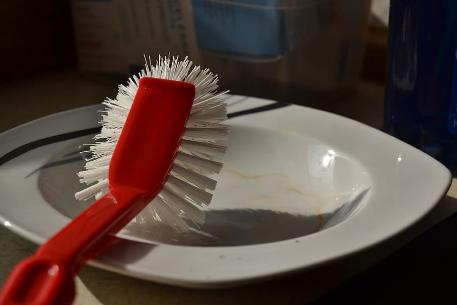 dish, cleaning brush, housework, kitchen, indoors, still life