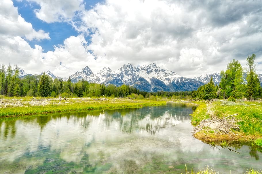calm body of water in between of grass field and trees, bright HD wallpaper