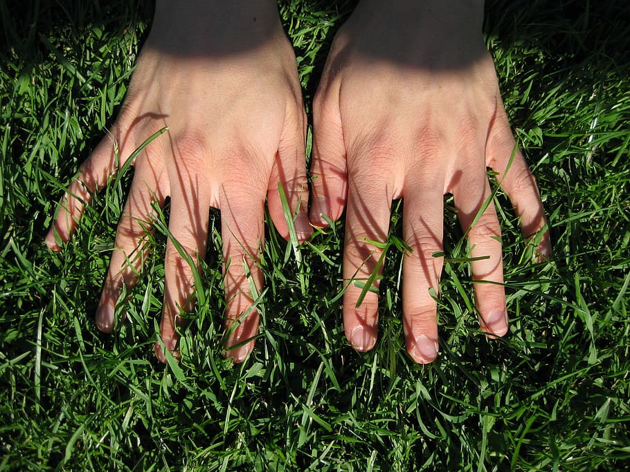 Hand, Hands, Grass, Finger, Meadow, green, human body part HD wallpaper