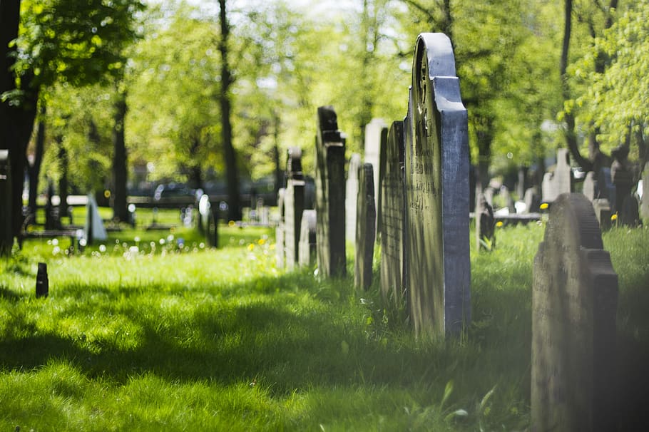 Halifax, Tourism, Canada, Nova, Scotia, graveyard, gravestones HD wallpaper