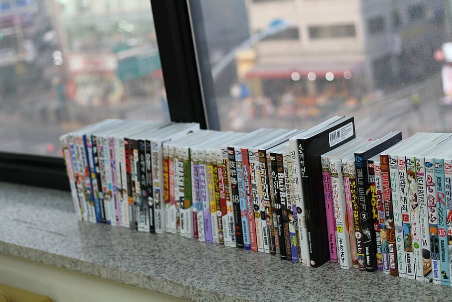 window, book, cartoon, choice, variation, large group of objects HD wallpaper