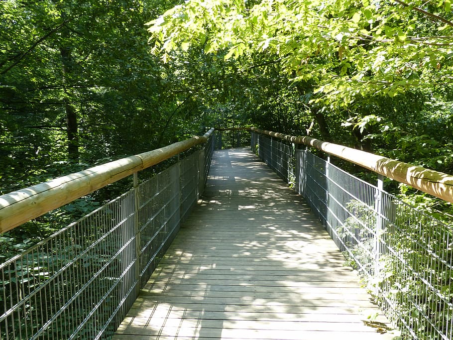 tree crown path, hainich, forest, nature, bridge - Man Made Structure HD wallpaper
