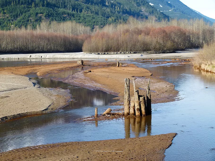 Birkenhead River, Marshland, Wetland, water, sand banks, wooden poles