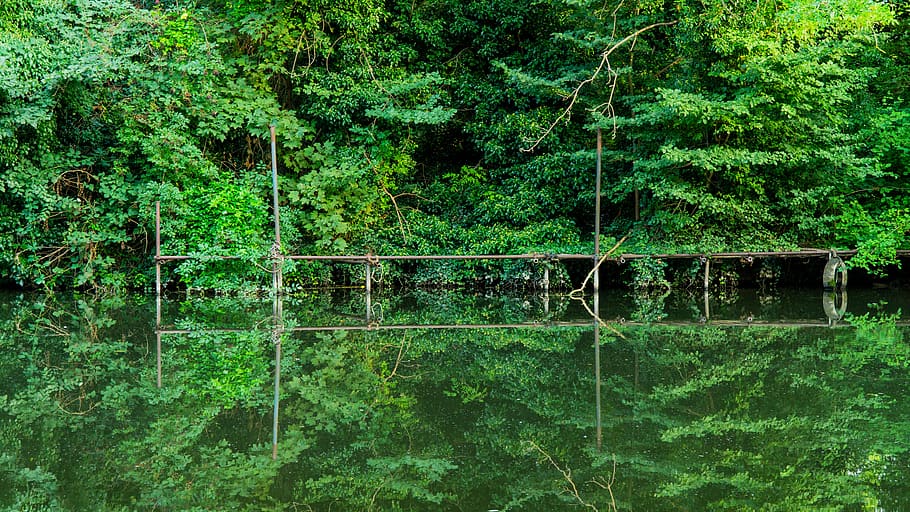 green, reflection, nature, tree, lake, river, bridge, plant HD wallpaper