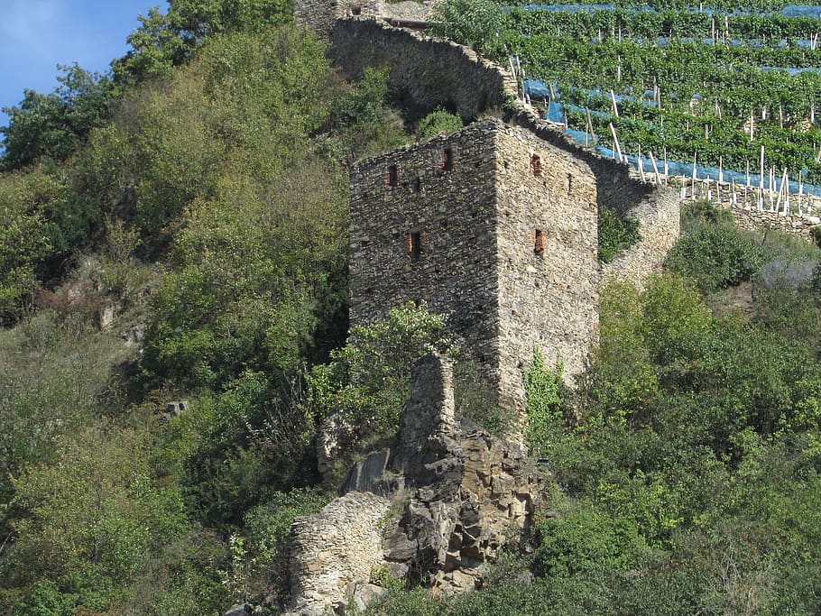 panorama, landscape, danube valley, austria, wachau, ruin, built structure, HD wallpaper