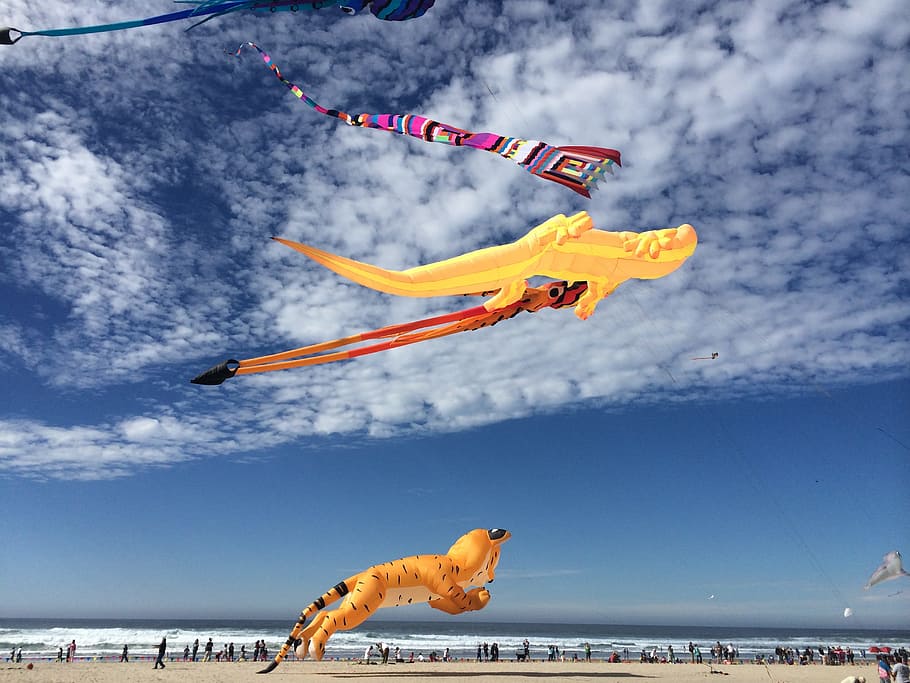 Kites, Big, Blue, Sky, Beach, Ocean, summer, nature, white HD wallpaper