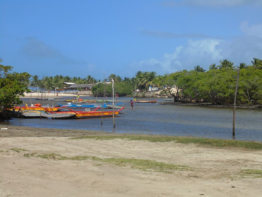 brazil, rio, vessel, nautical vessel, tree, water, transportation HD wallpaper