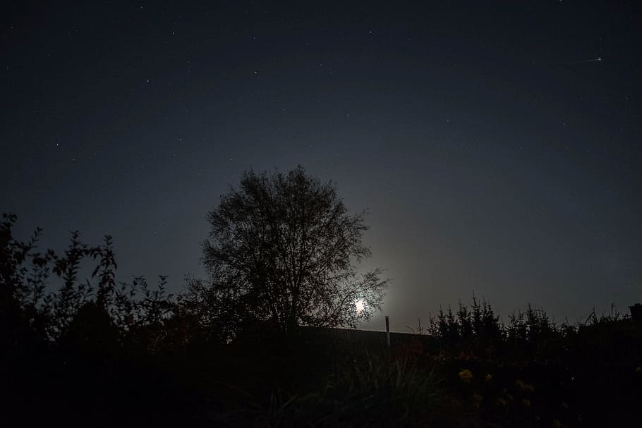 moon, night, mood, evening, night photograph, night sky, atmosphere HD wallpaper