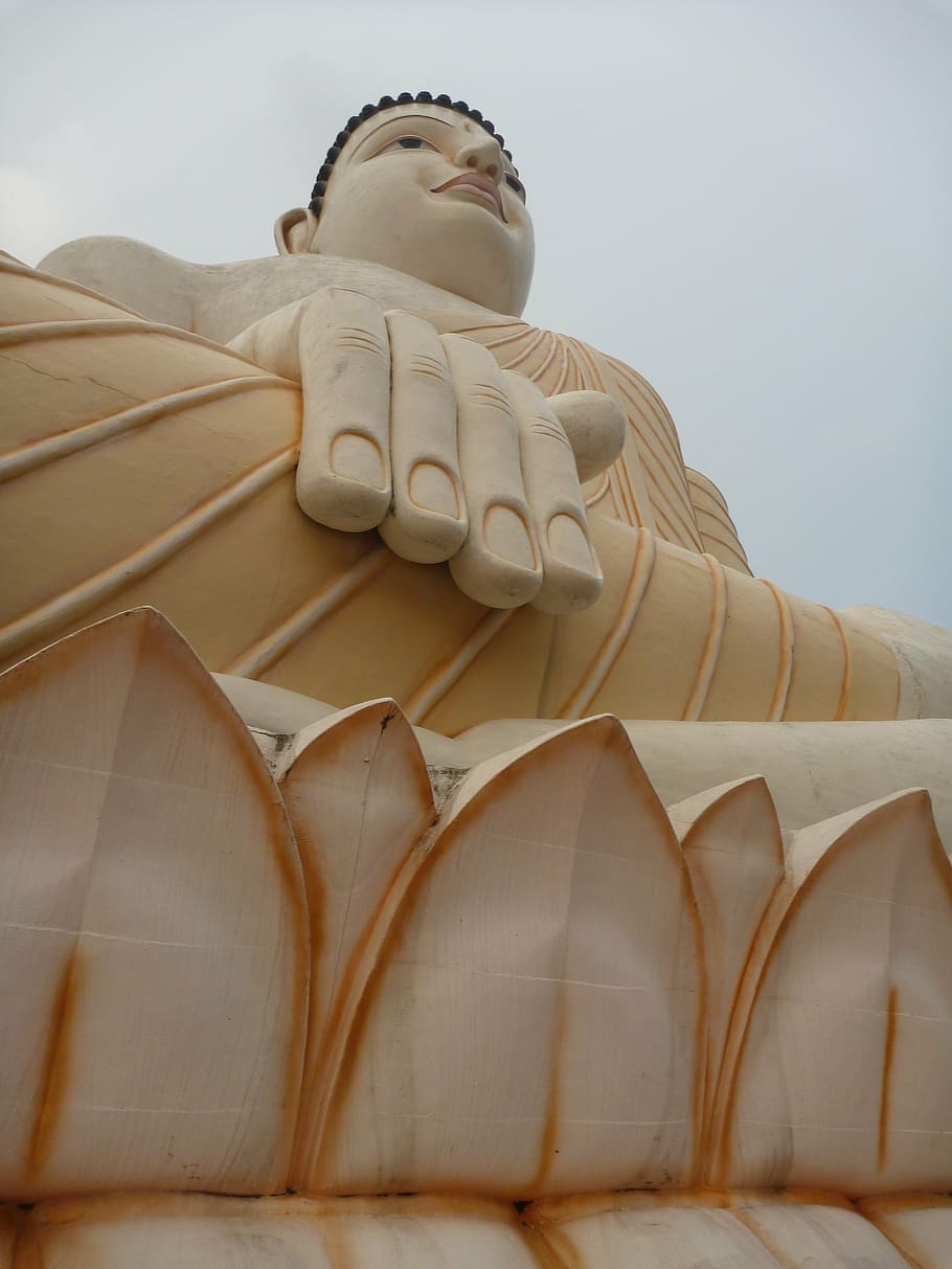 buddha, the statue, buddhism, human representation, low angle view HD wallpaper