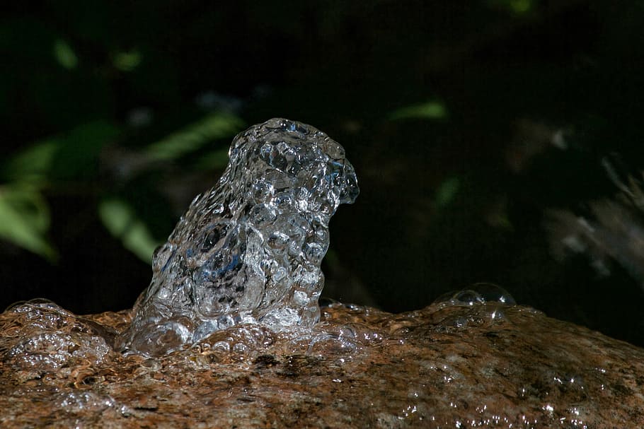 outstanding, water, stone, bubble, silver, animals in the wild HD wallpaper