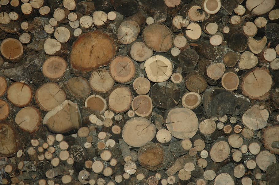 wood, tribes, tree trunk, wood pile, timber, log, lumber industry HD wallpaper