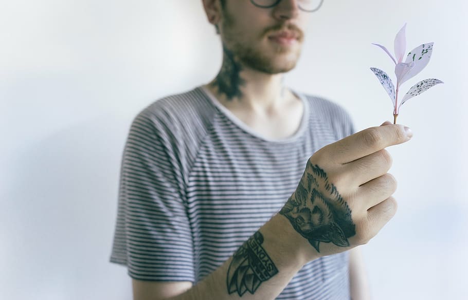man with tattoos wearing black and white striped shirt holding white leafed plant HD wallpaper