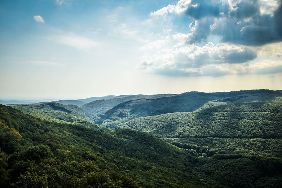 Green Tree Coated Mountain Under White and Blue Cloudy Sky at Daytime HD wallpaper