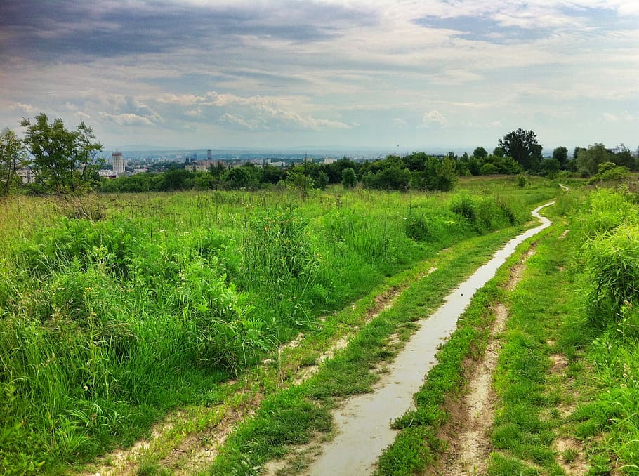 way, green meadow, spring, plant, green color, landscape, cloud - sky HD wallpaper