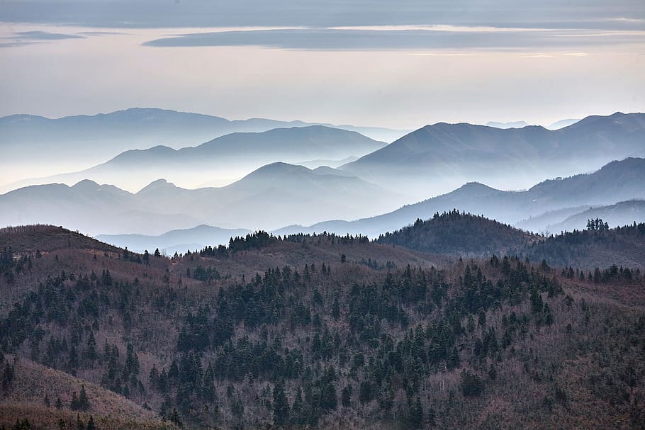 nature, fog, mountain, scenics - nature, beauty in nature, sky HD wallpaper