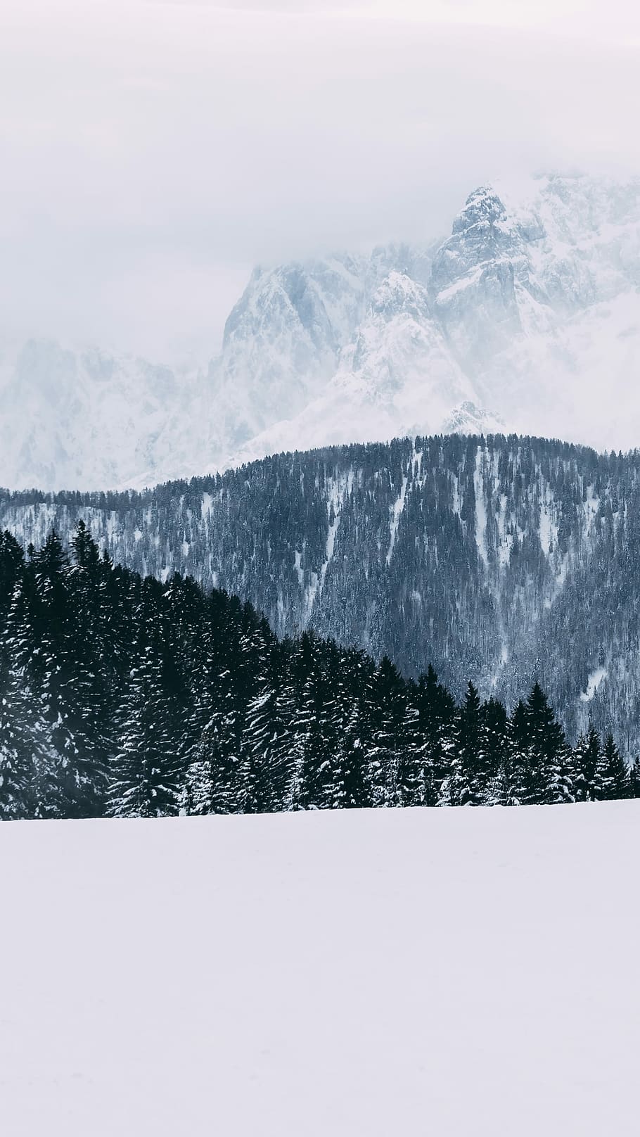 mountain covered by snow, rock, cliff, mist, fog, winter, cold temperature HD wallpaper