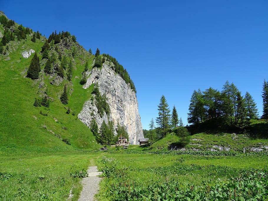 Migratory, Path, Landscape, Meadow, migratory path, nature HD wallpaper
