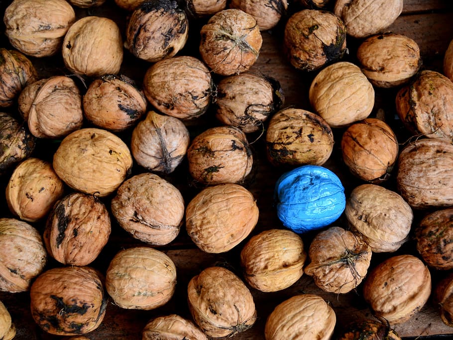 brown nut lot, nuts, blue, turquoise, diversity, backgrounds HD wallpaper