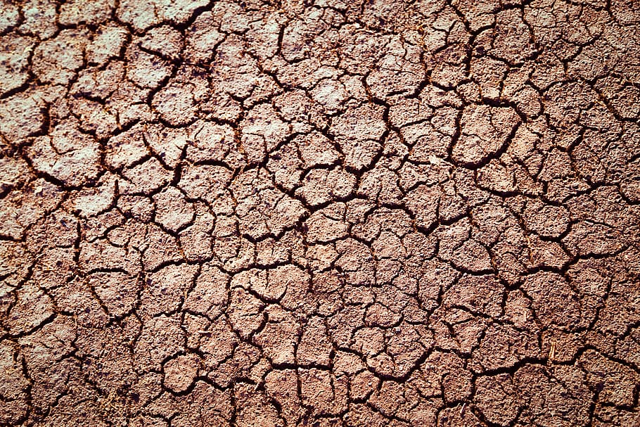 cracked dried soil photo, earth, dry, dirt, ground, desert, drought, HD wallpaper