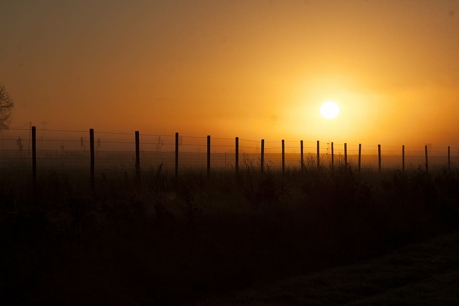winter, sun, nature, air, landscape, trees, cold, zing, netherlands HD wallpaper