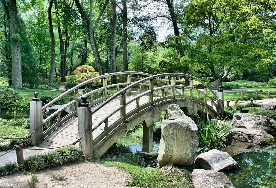 gray wooden bridge over creek in forest during daytime, japanese garden, HD wallpaper