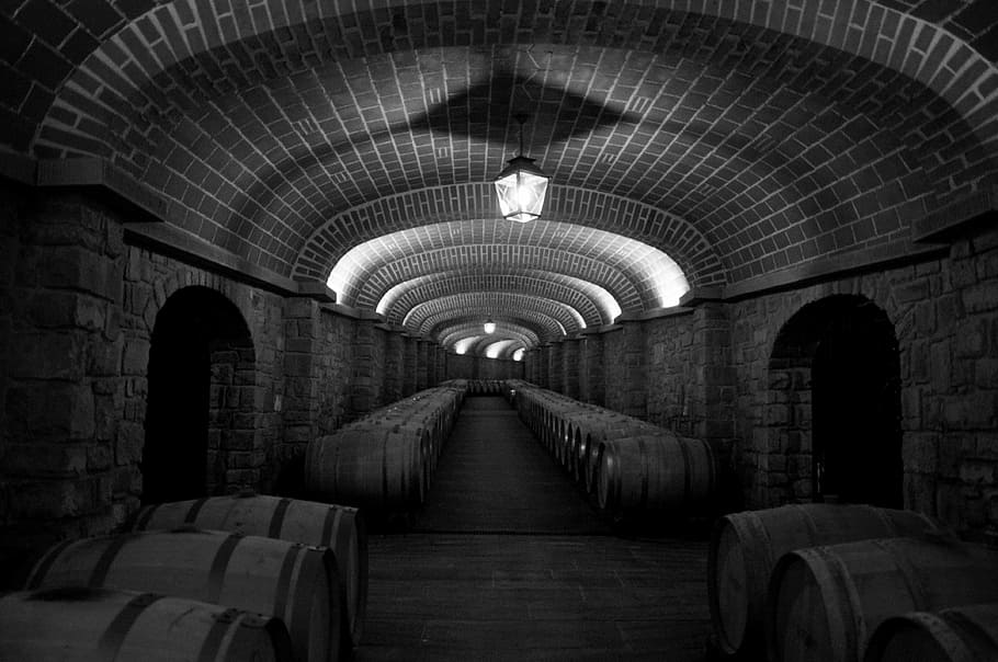 photo of tunnel hallway, botti, ceiling, lights, cellar, wine HD wallpaper