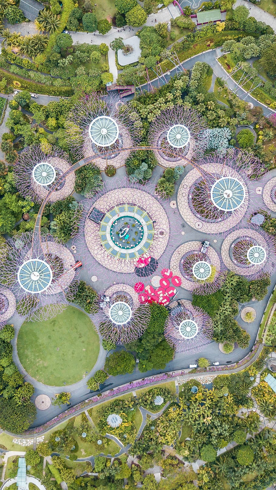 aerial photography of themed park, aerial photography of trees HD wallpaper
