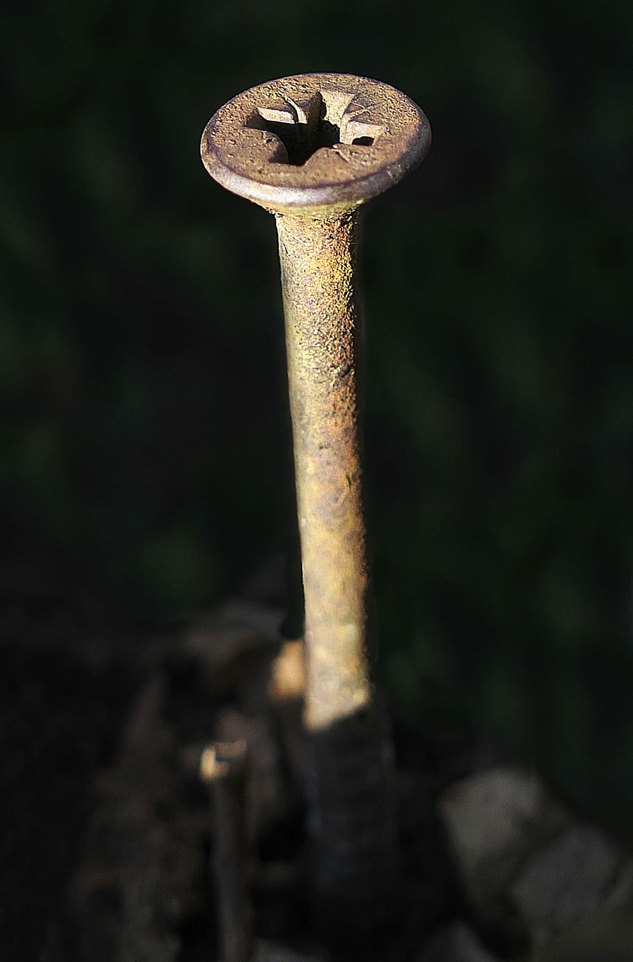 screw, weathered, wood, close, side light, rusty, dirty, metal HD wallpaper