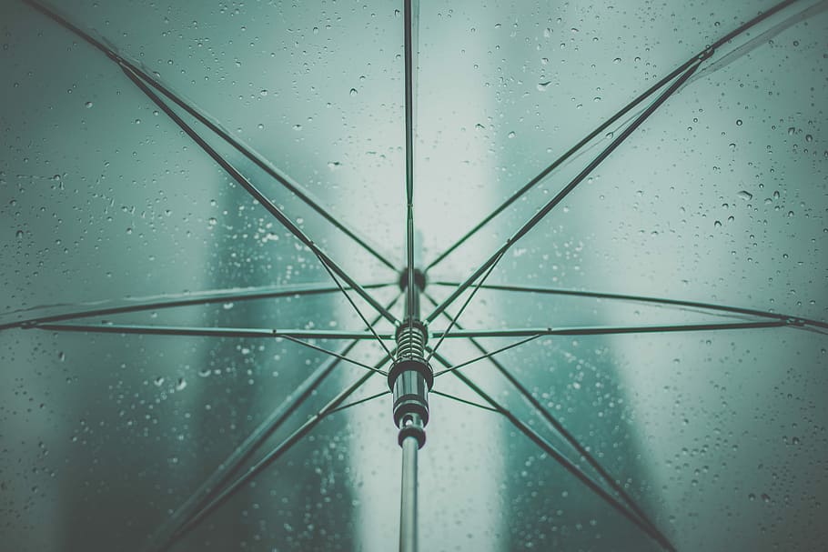 gray umbrella with rain drops, bottom-view of wet clear umbrella