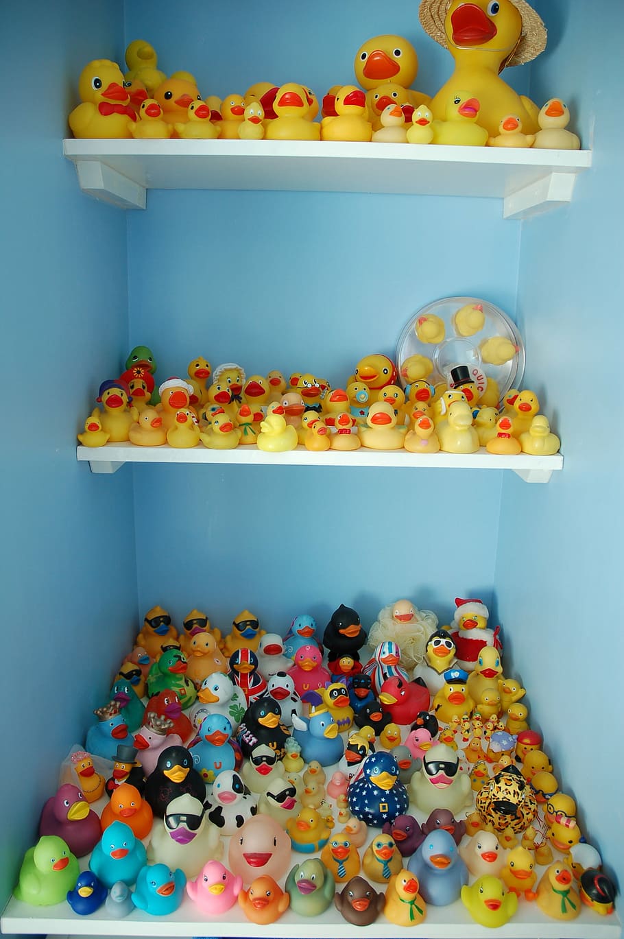 rubber duck, collection, yellow ducks, multi Colored, food and drink HD wallpaper