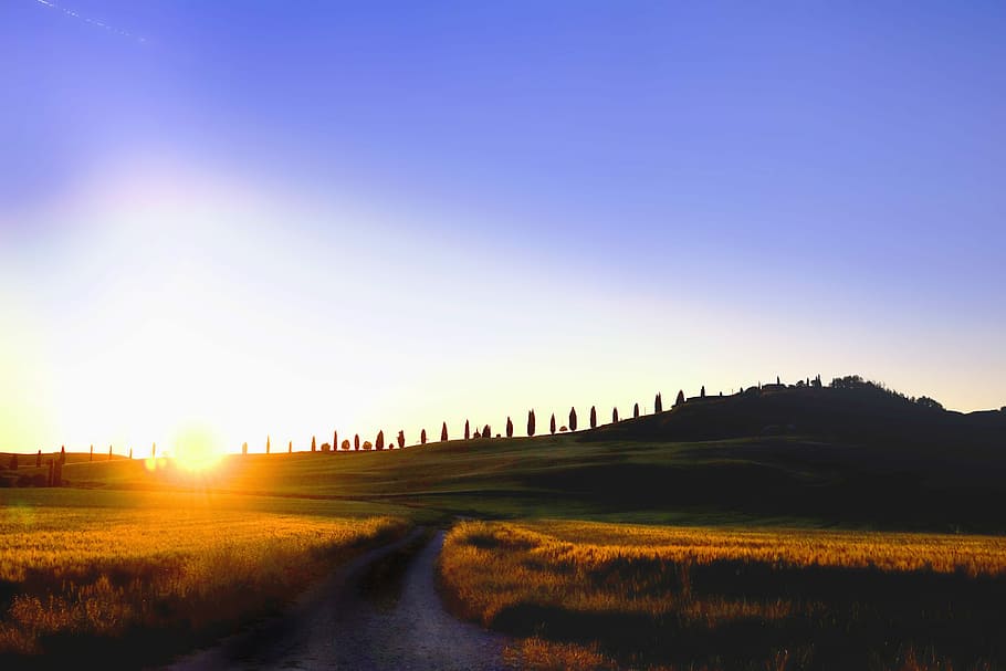 road in between of green grasslands, dawn, nature, sky, landscape HD wallpaper