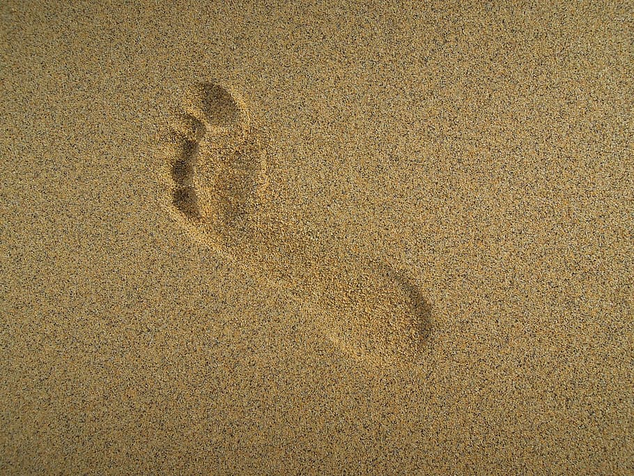 footprint in the sand, seaside, beach, summer, water, nature HD wallpaper