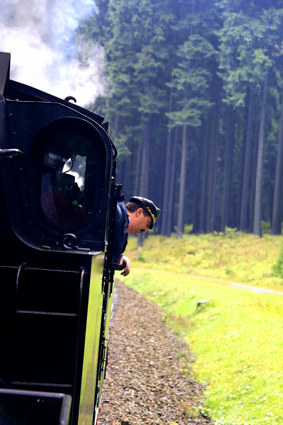 old train, chemnitz, dresden, germany, locomotive, forest, narrow-gauge railway HD wallpaper