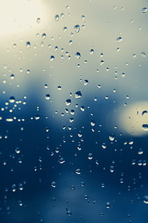 microscope photography of water dews, closeup, water droplets HD wallpaper