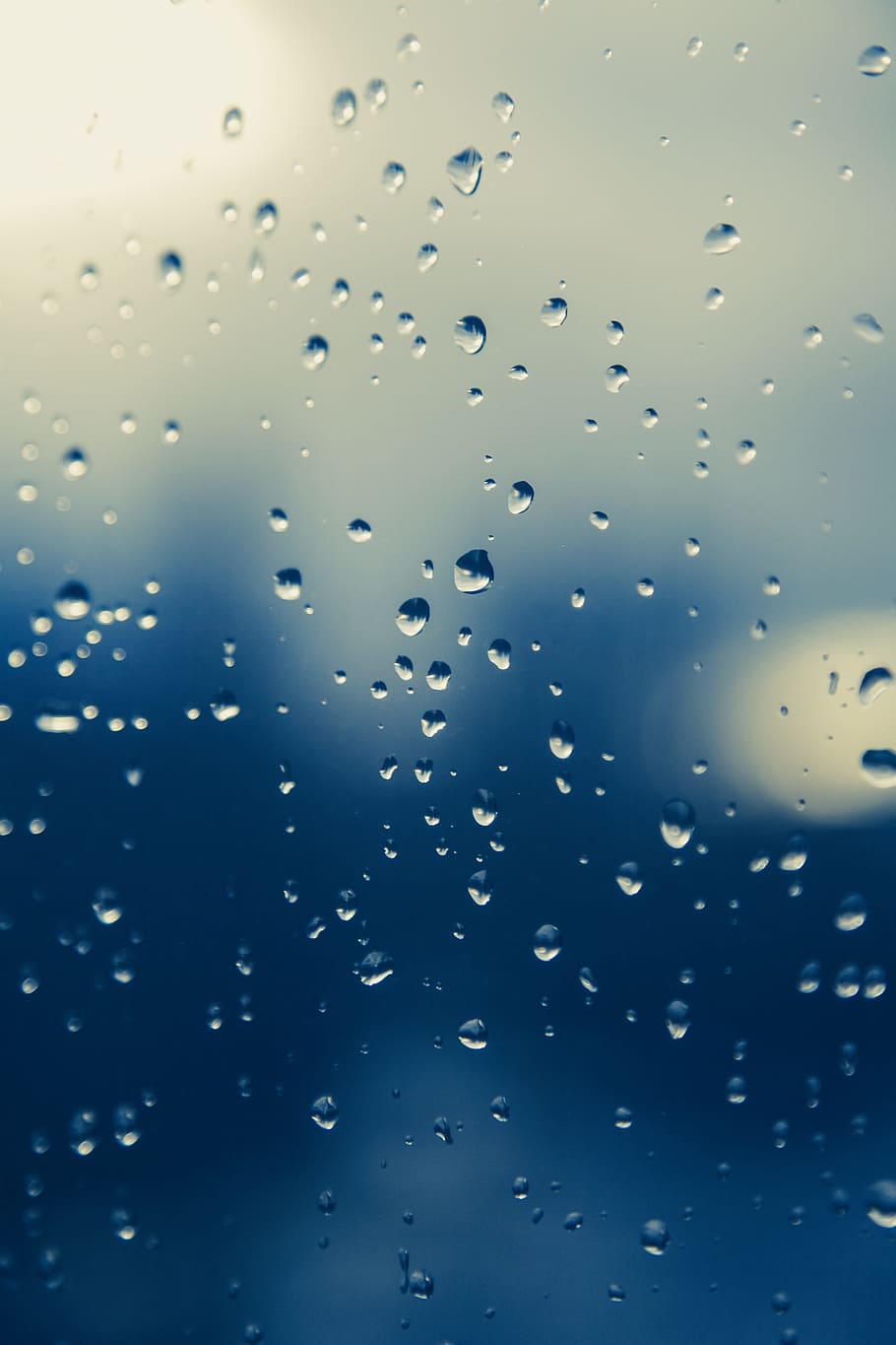 microscope photography of water dews, closeup, water droplets HD wallpaper