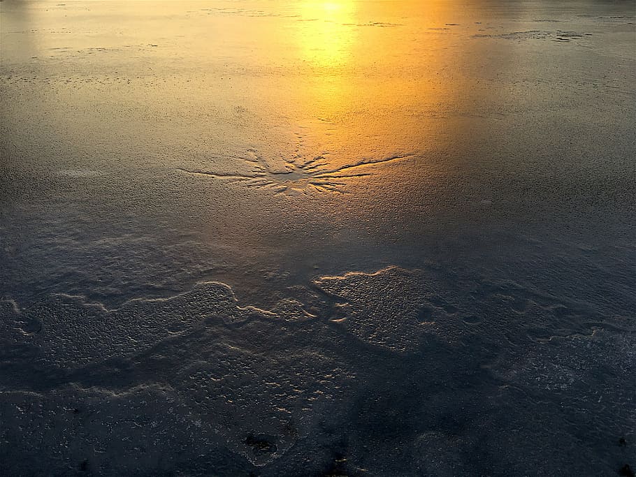 ice, sun, nature, cold, winter, white, snow, frost, outdoor HD wallpaper
