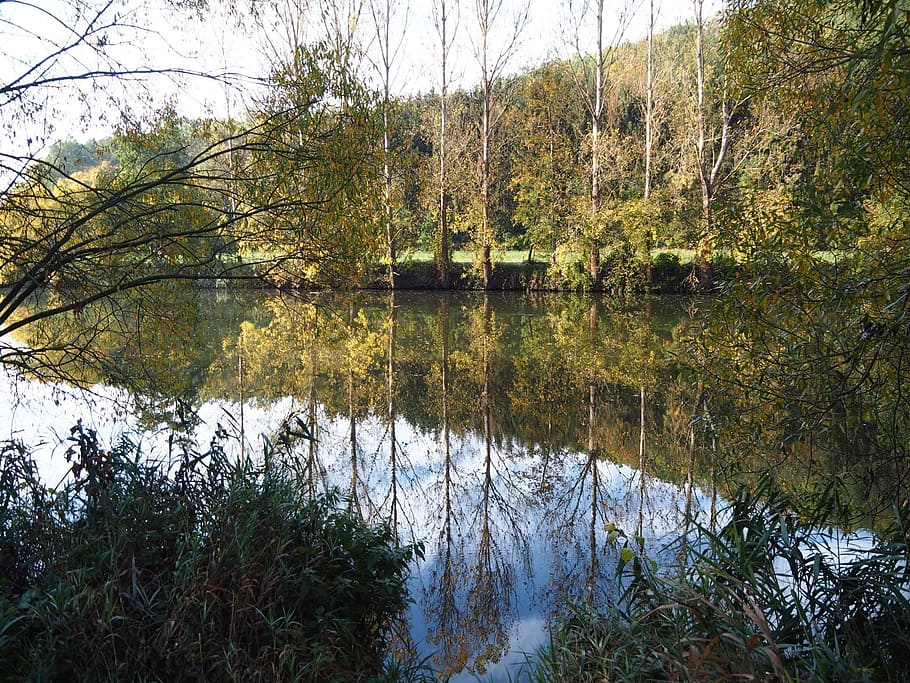 water, mirroring, nature, reflections, lake, landscape, trees HD wallpaper