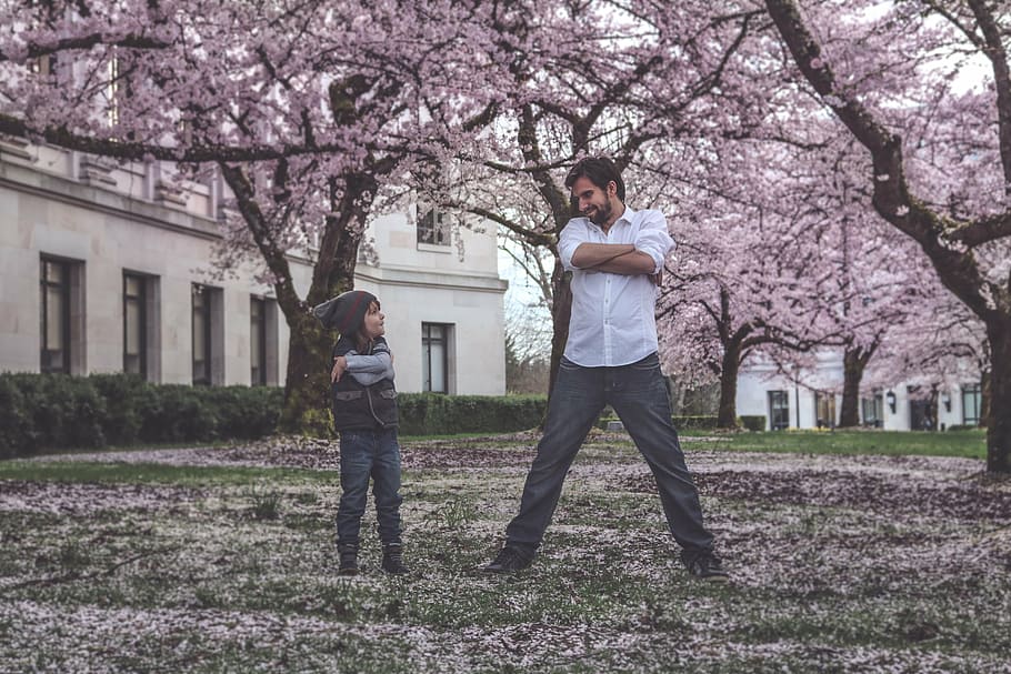 man and boy standing under Sakura trees, father, son, family, HD wallpaper