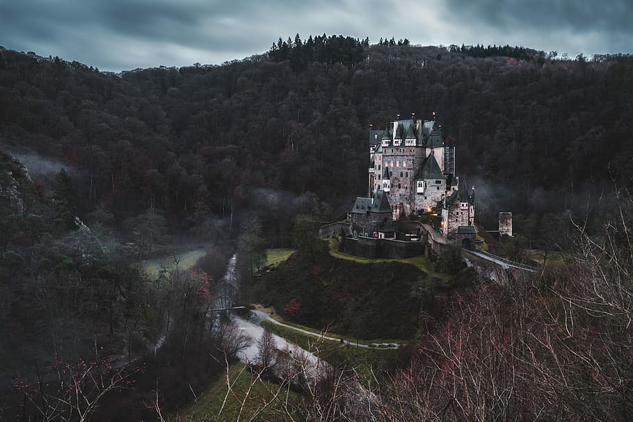 gray concrete castle surrounded by trees under gray skies, white and grey castle between landscape mountain