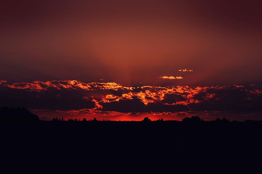 sunset view, silhouette photo of trees and red sky, landscape HD wallpaper