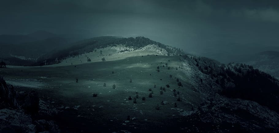 landscape photography of tall trees on field, dark, darkness HD wallpaper