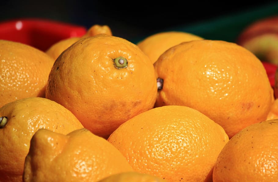 Lemons, Citrus, Fruit, Sour, citrus fruit, fruits, vitamins HD wallpaper