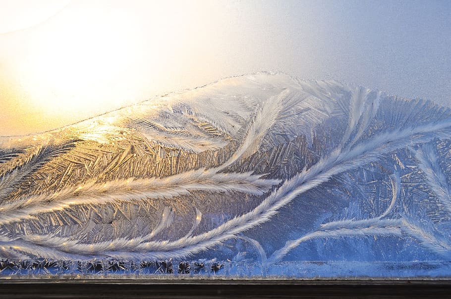 white and blue abstract painting screengrab photo, frost, patterns HD wallpaper