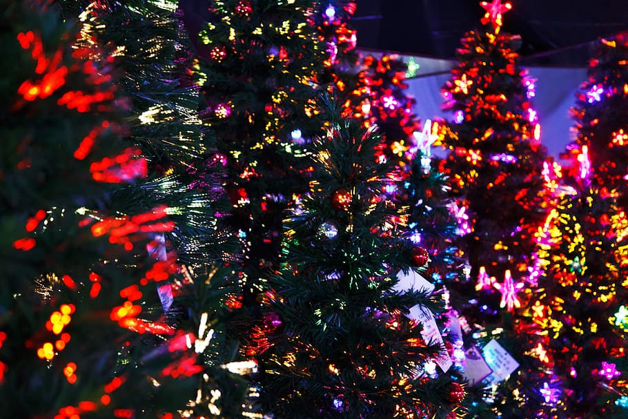 Abstract, Background, Celebration, christmas, colorful, december HD wallpaper