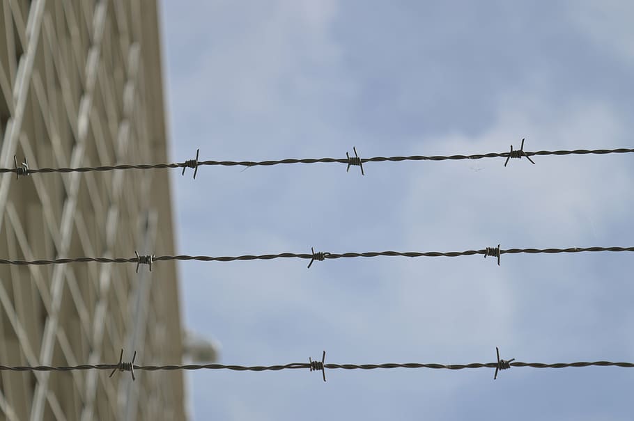 selective focus photography of barbwire, prison, metal, barrier