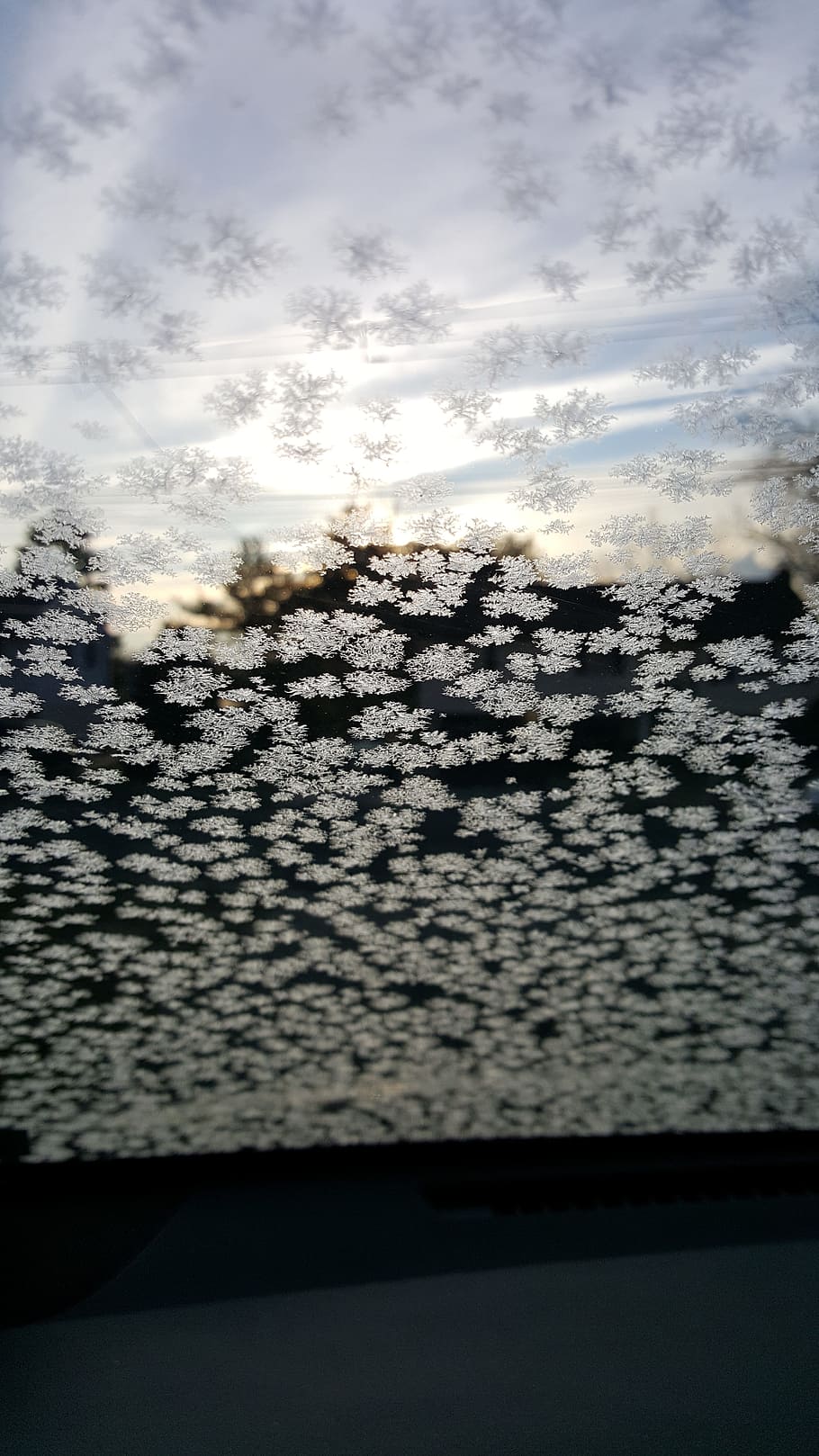 frost, morning, windshield, winter, cold, nature, ice, snow HD wallpaper