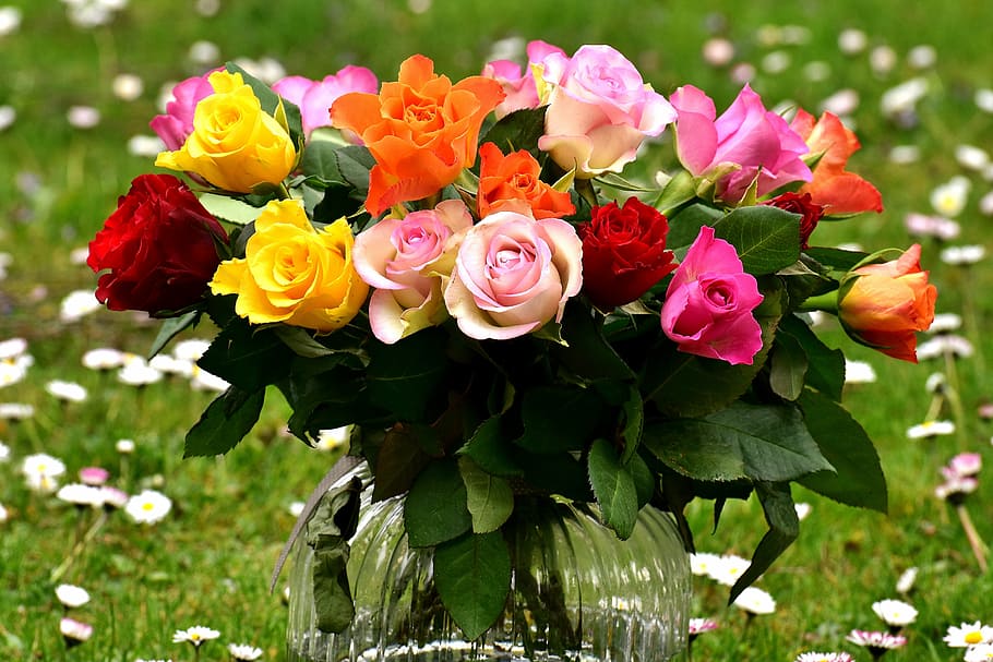 red, yellow, pink, and white rose bouquet, roses, flowers, vase