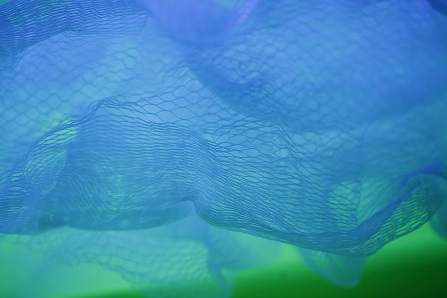 Online crop | HD wallpaper: blue net, blue fishing net, green ...