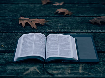 book, reading, ipad, tablet, technology, wood, leaves, outdoors HD wallpaper
